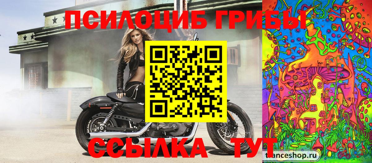 Воткинск  Псилоцибиновые грибы Psilocybine cubensis  Вход с VPN 